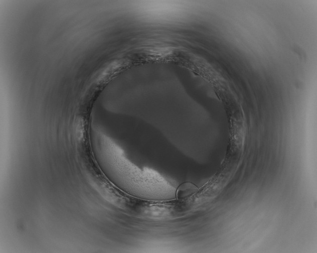 X0000111020758200906261540