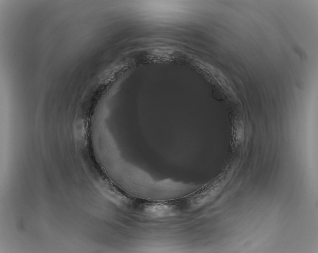 X0000111020759200906261540