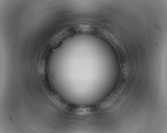 X0000111020760200906261540