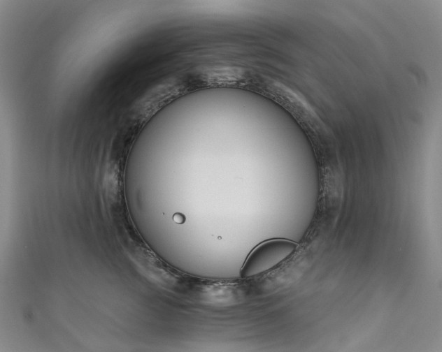 X0000111020761200906261540