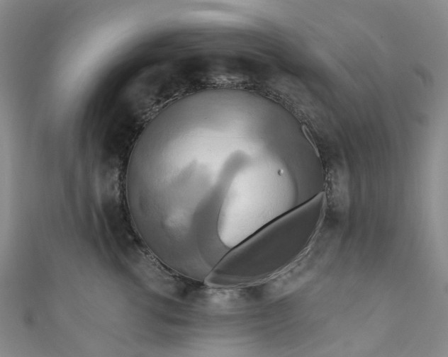 X0000111020762200906261540