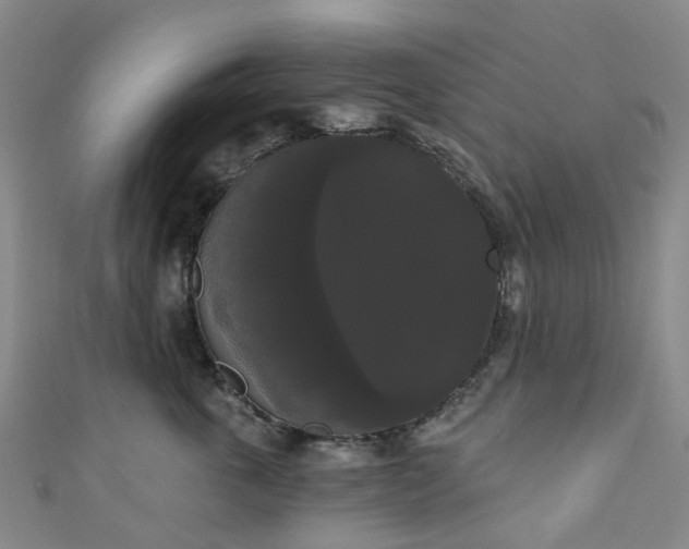 X0000111020763200906261540