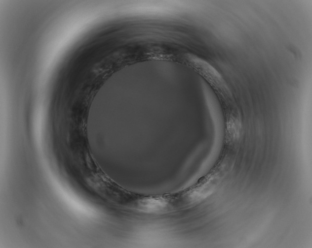 X0000111020765200906261540