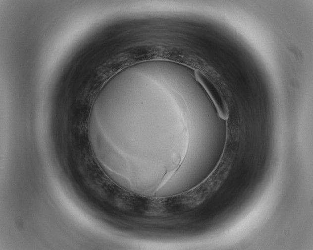 X0000111020766200906261540