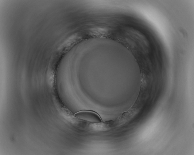 X0000111020767200906261540