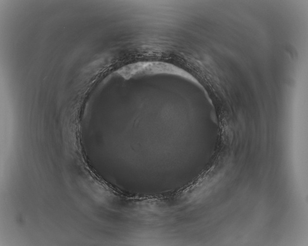 X0000111020769200906261540