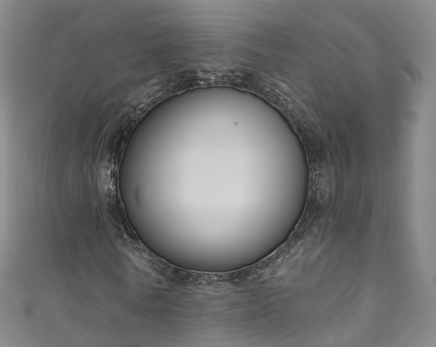 X0000111020770200906261540