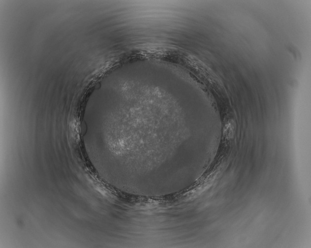 X0000111020772200906261540