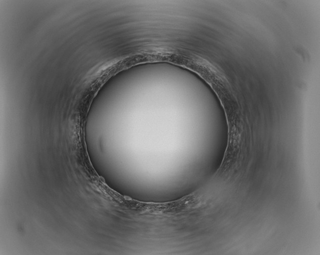 X0000111020773200906261539