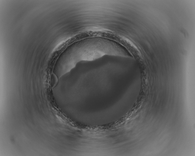 X0000111020775200906261539