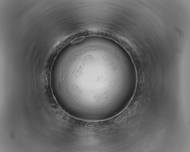X0000111020776200906261539
