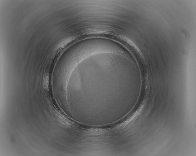 X0000111020777200906261539