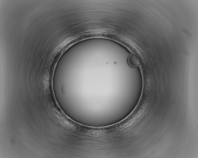 X0000111020778200906261539
