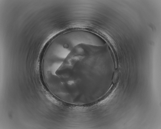 X0000111020779200906261539