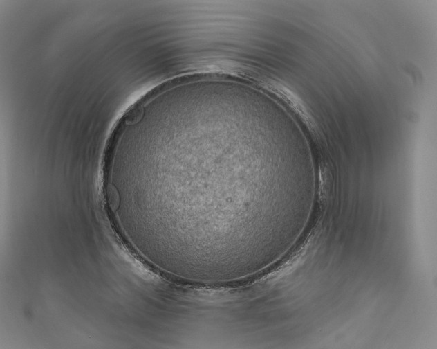 X0000111020780200906261539