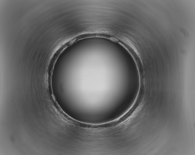 X0000111020781200906261539