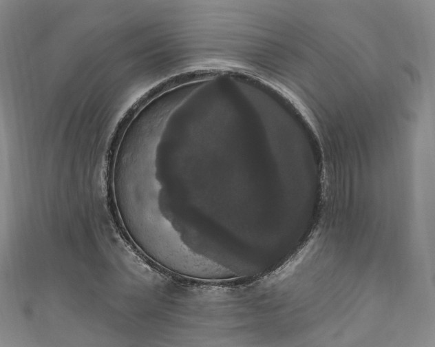 X0000111020783200906261539
