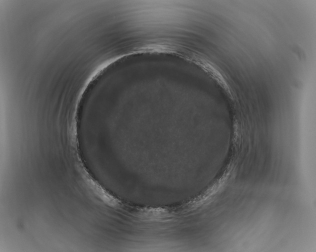 X0000111020784200906261539