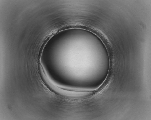 X0000111020785200906261539