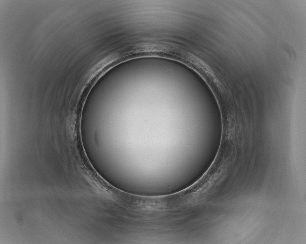 X0000111020786200906261539