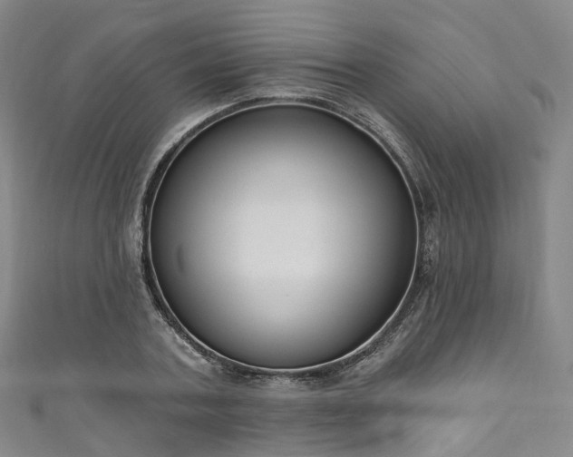X0000111020787200906261539