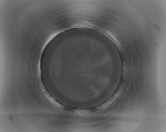 X0000111020788200906261539