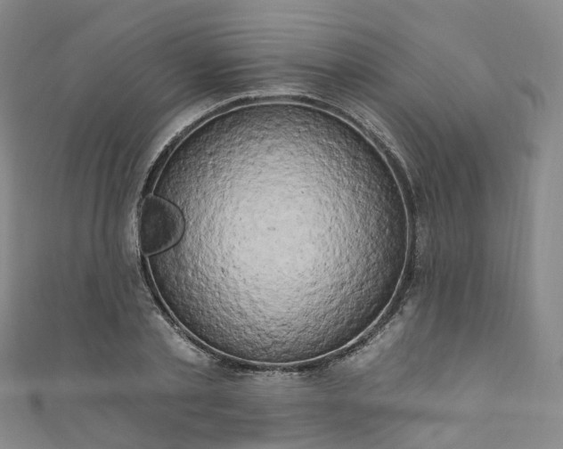 X0000111020789200906261539