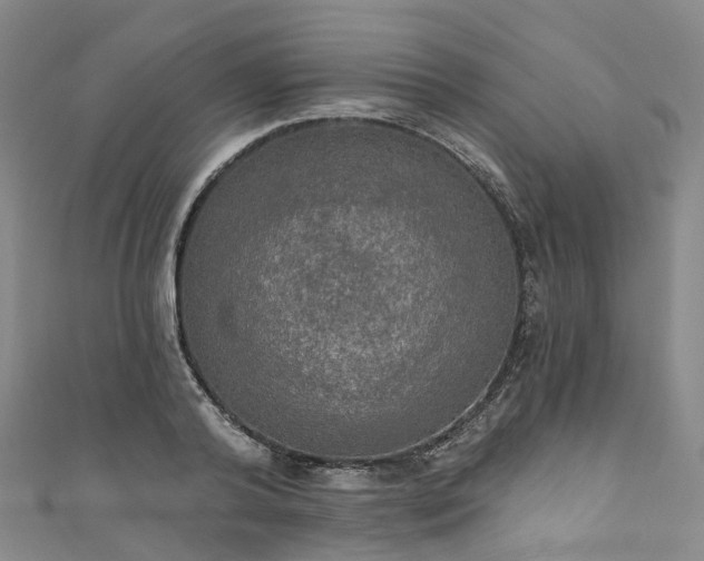 X0000111020792200906261539