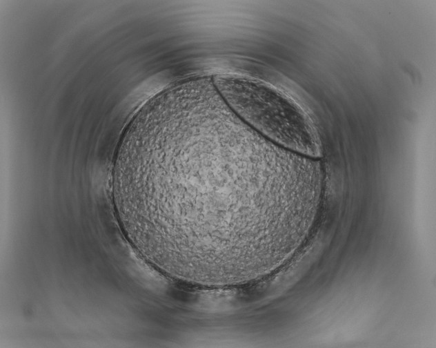 X0000111020793200906261539
