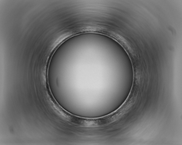 X0000111020794200906261539