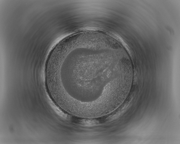 X0000111020795200906261539