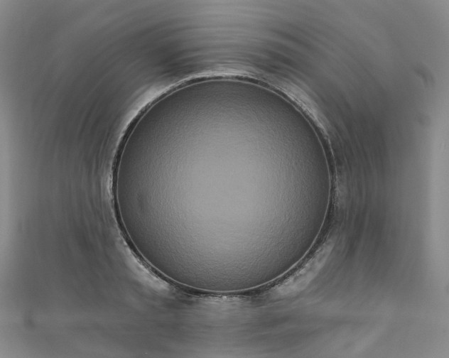 X0000111020797200906261539