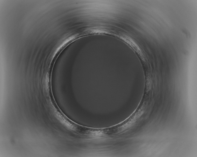 X0000111020798200906261539