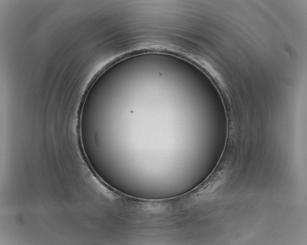 X0000111020799200906261539
