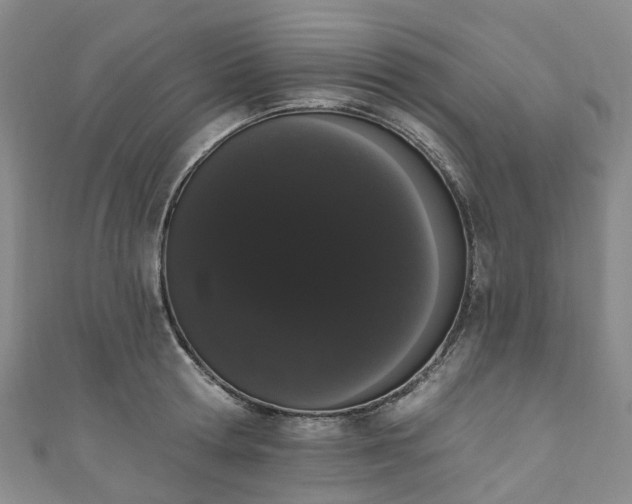 X0000111020802200906261539