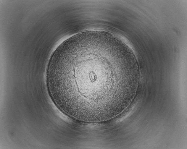 X0000111020803200906261539