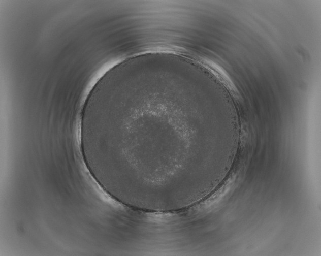 X0000111020804200906261539
