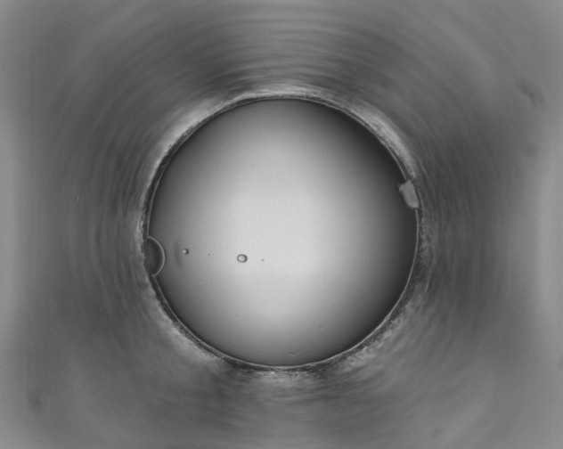 X0000111020805200906261539