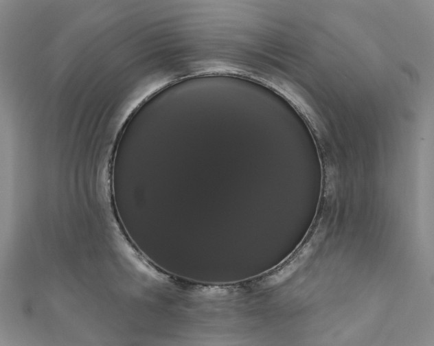 X0000111020806200906261539