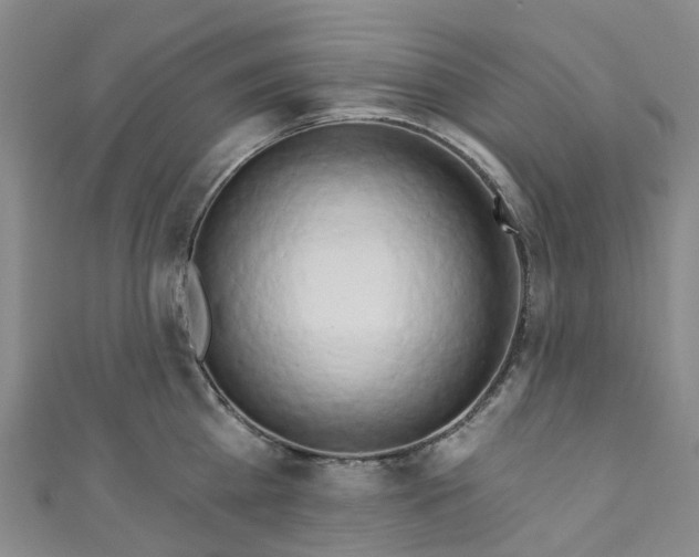 X0000111020809200906261539