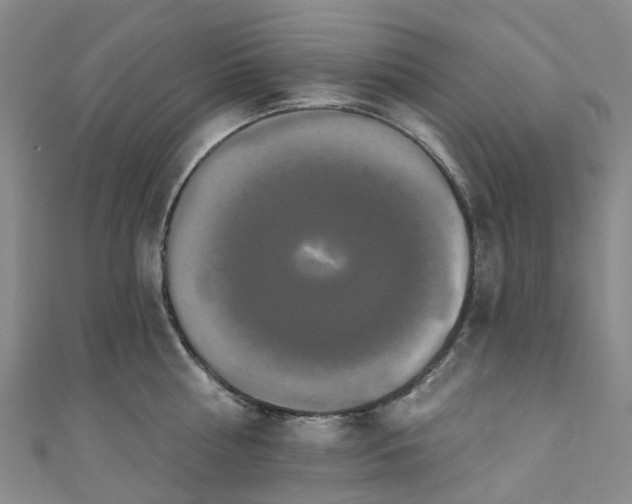 X0000111020810200906261539