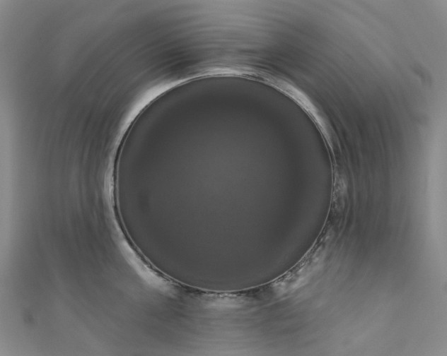 X0000111020811200906261539