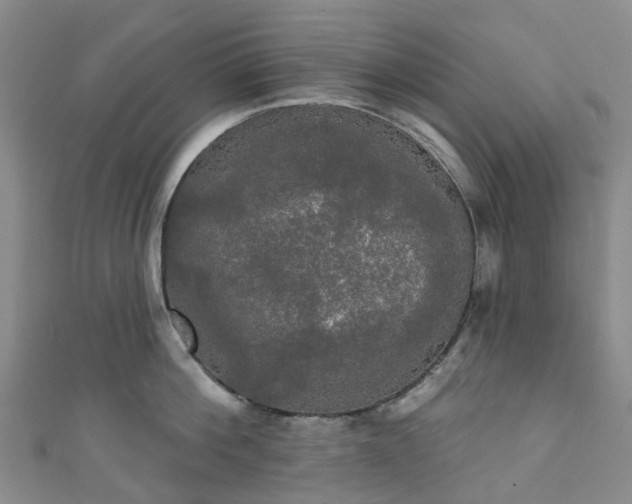 X0000111020812200906261539