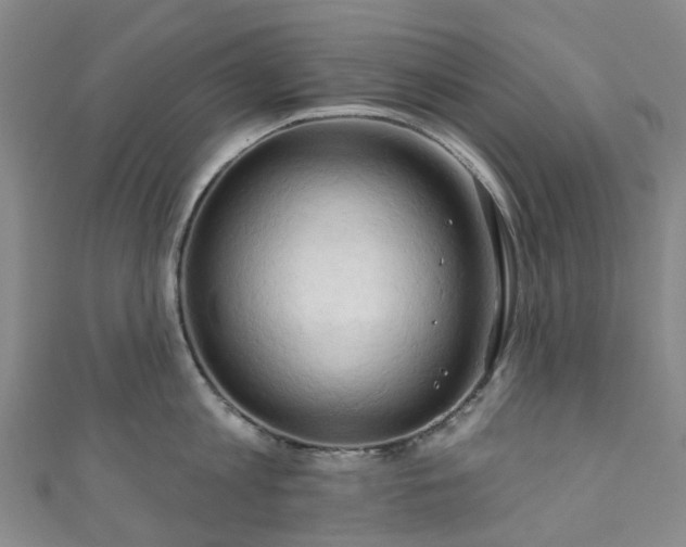 X0000111020813200906261539