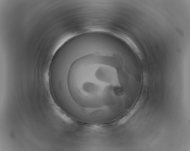 X0000111020814200906261539