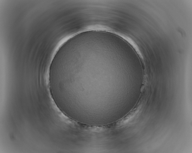 X0000111020815200906261539
