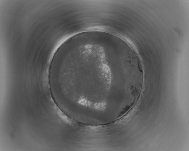 X0000111020816200906261539