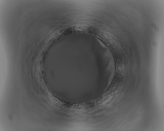 X0000111020817200906261538