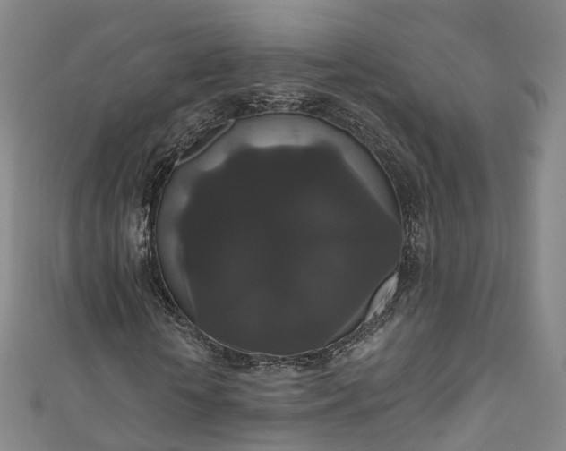 X0000111020818200906261538