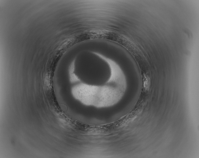 X0000111020819200906261538